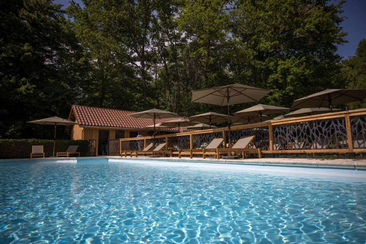 Chateau Des Ayes - Chambres & Suites Saint-Étienne-de-Saint-Geoirs Dış mekan fotoğraf